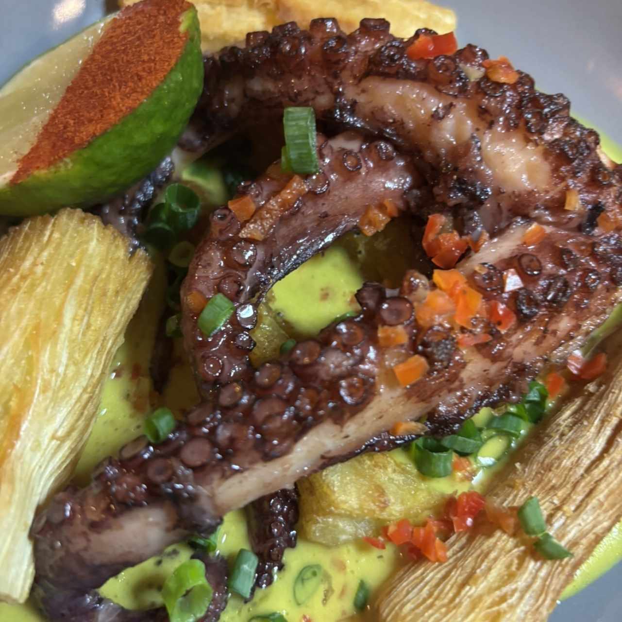 Pulpo