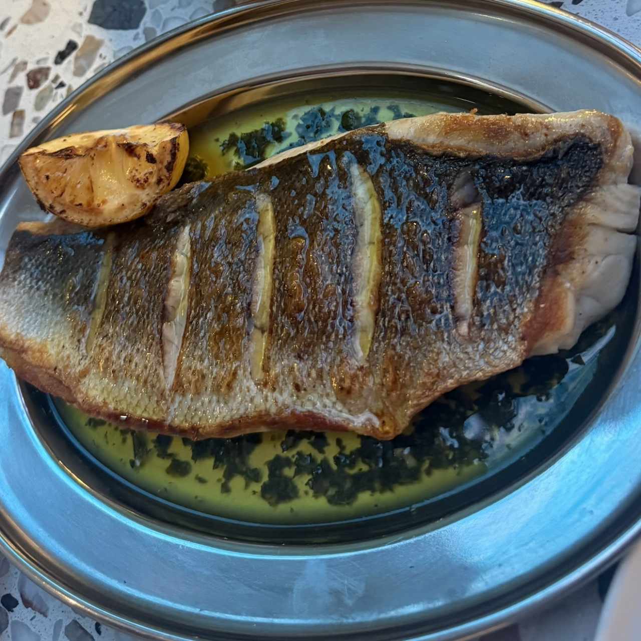 Corvina 