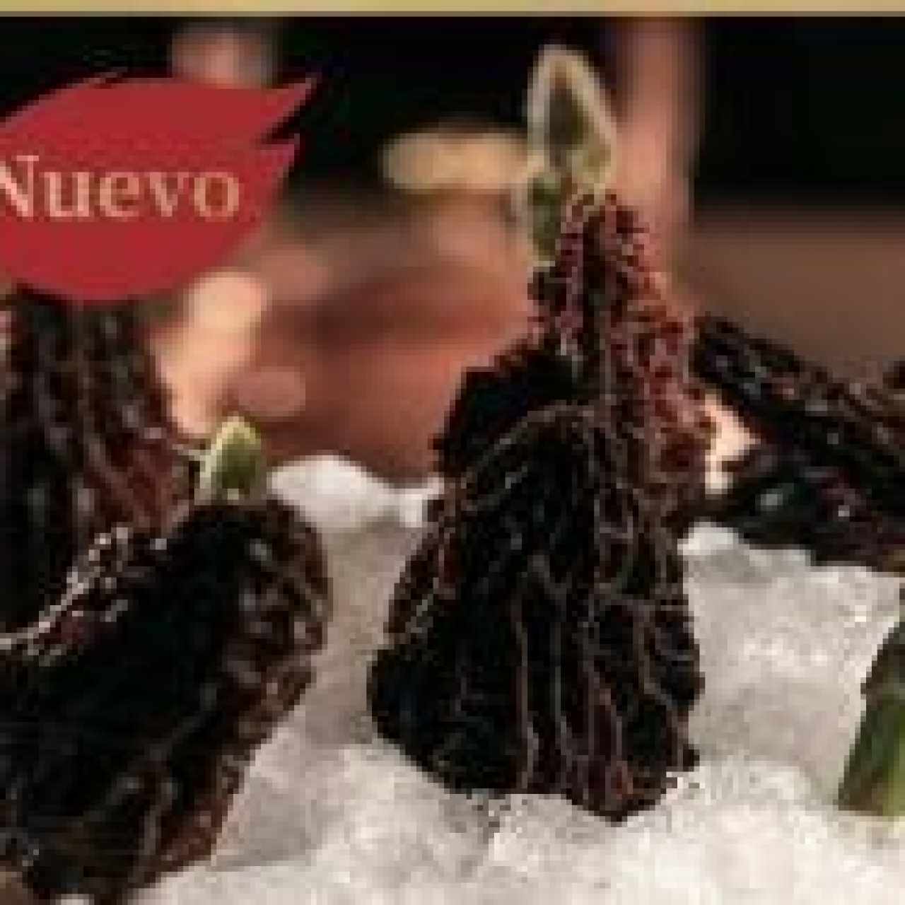Bolita artesanales de Camarón con hongo del bambú oriental