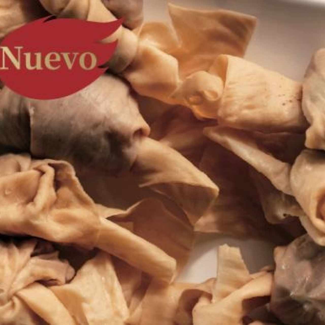 Wontons con láminas de tofu