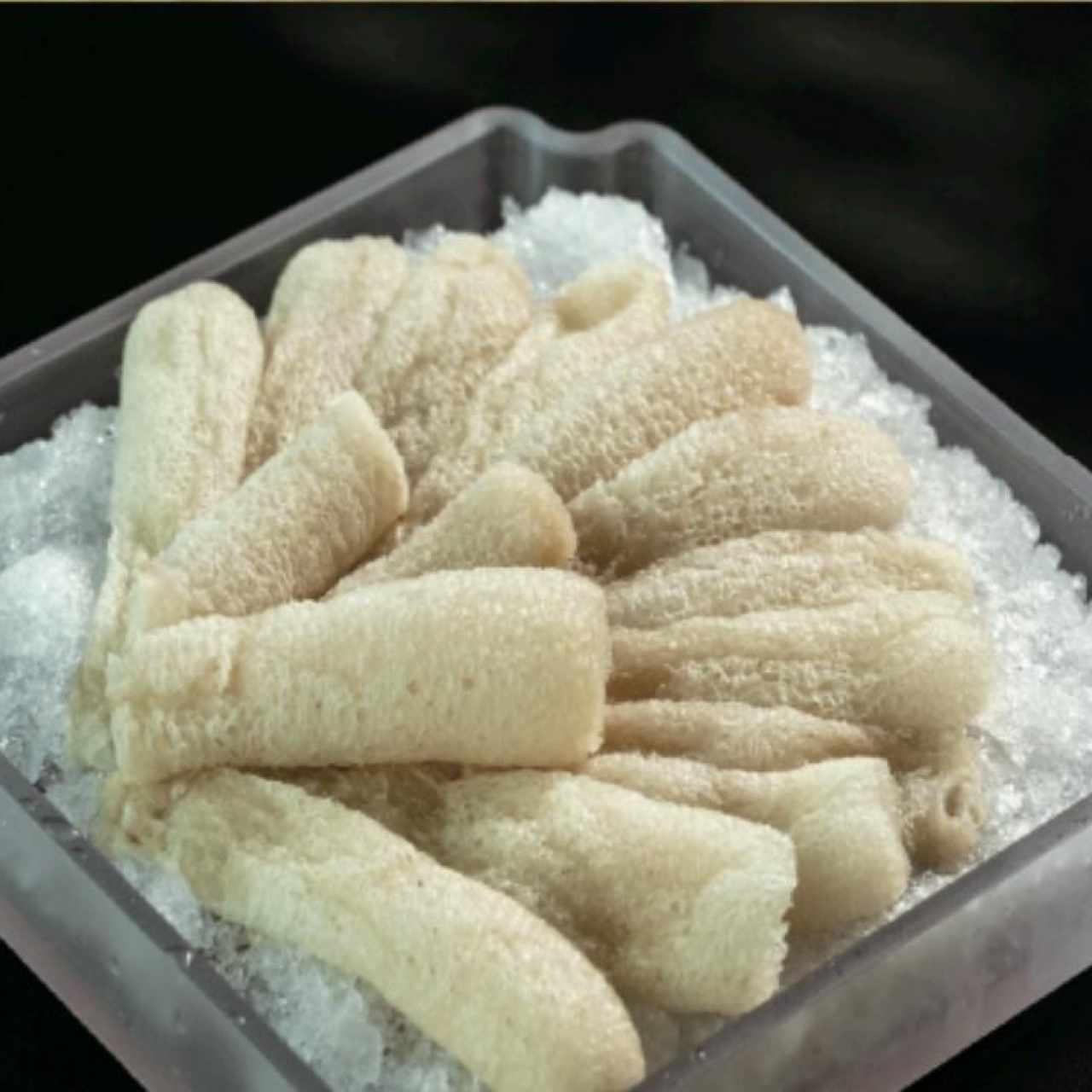 Hongo Bambú oriental