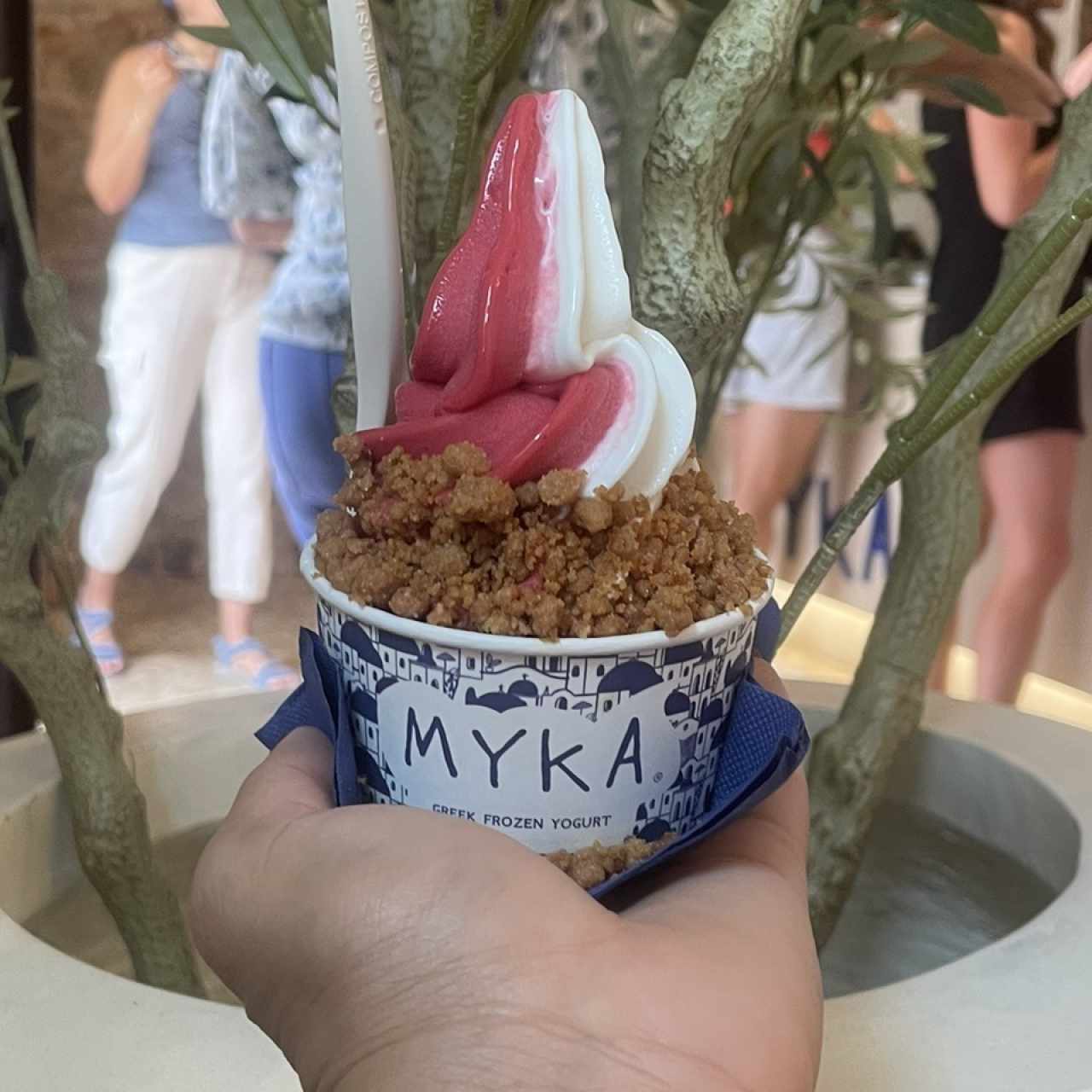 Helado de yogurt y frutos tojos, toppin de crumble de galletas y nueces