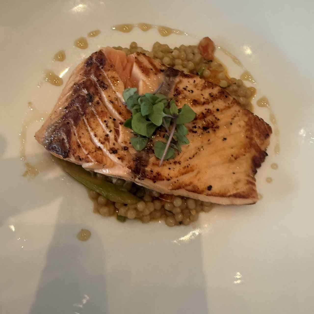 Salmon
