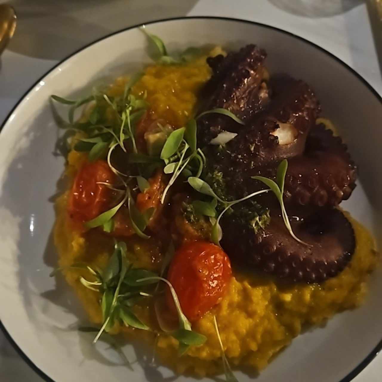 pulpo al carbon