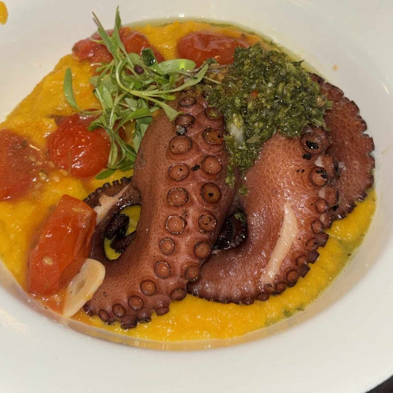 Pulpo 