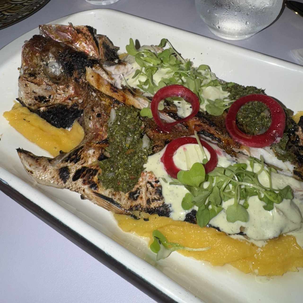 Pesca del día