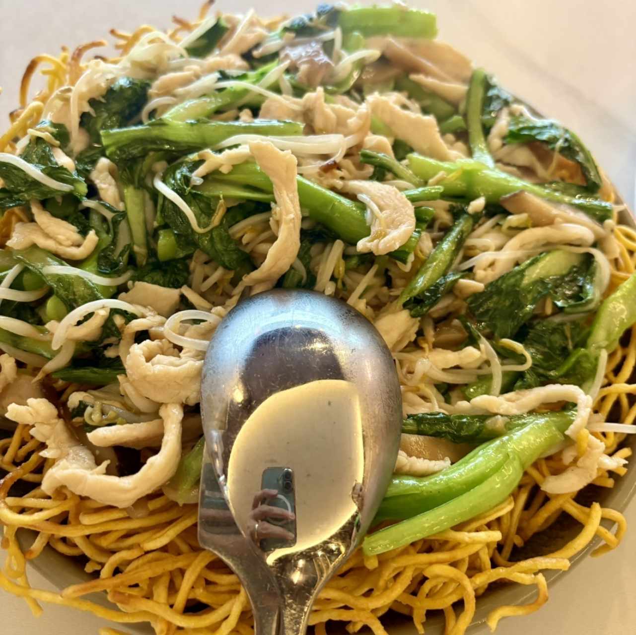 Chow Mein de fideos tostados