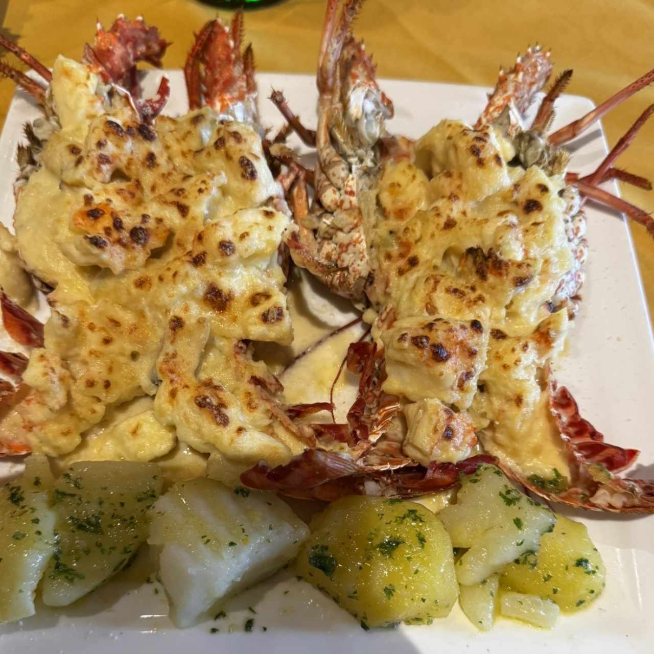 Mariscos - Langosta Gratinada