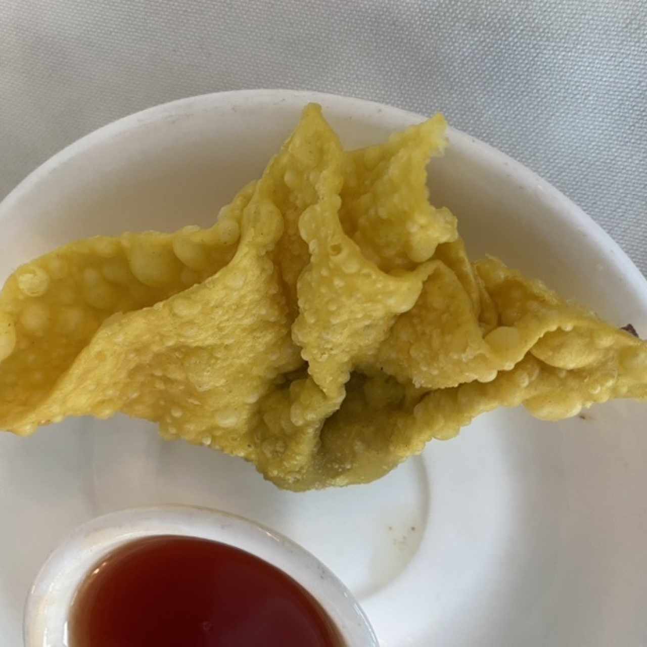 Entrada - Wantón Frito