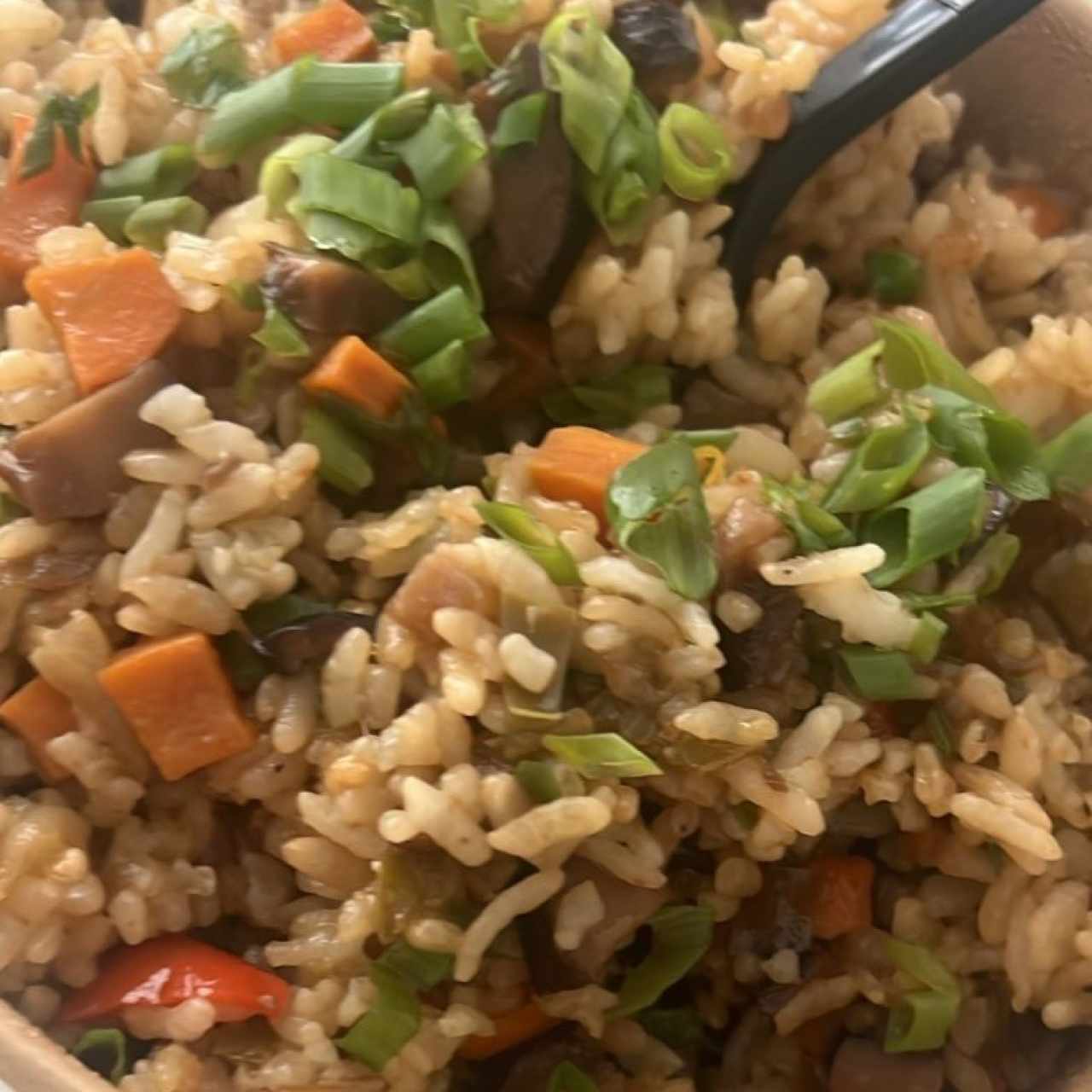 Yakimeshi (Arroces) - Veggie Yakimeshi