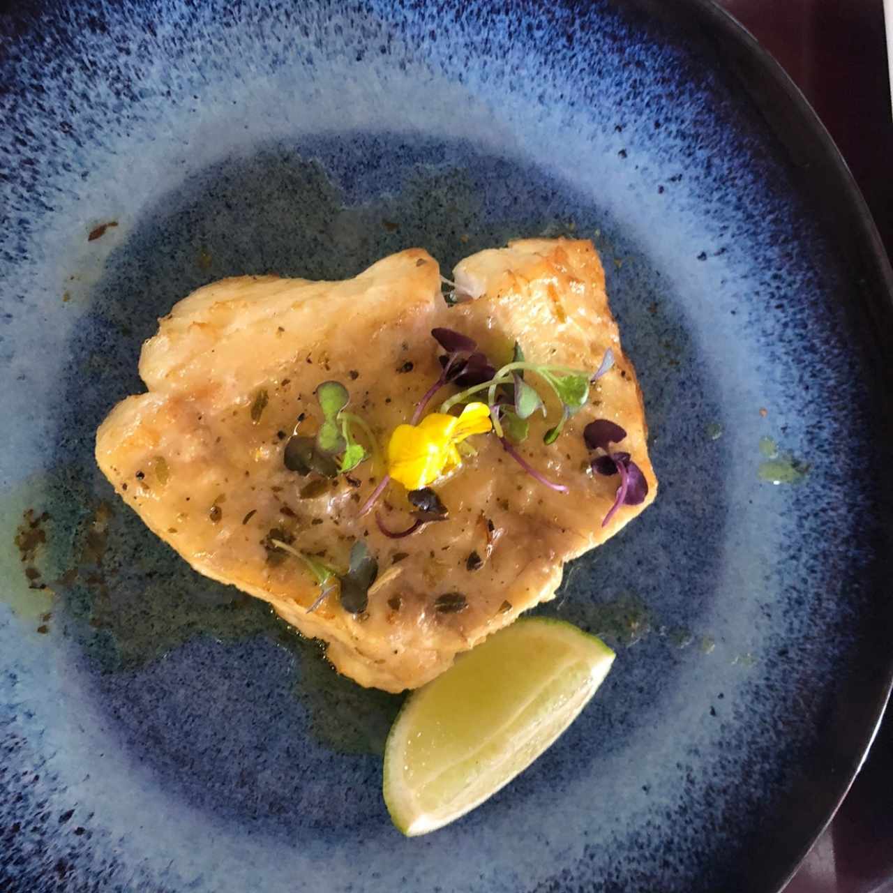 Corvina a la plancha 