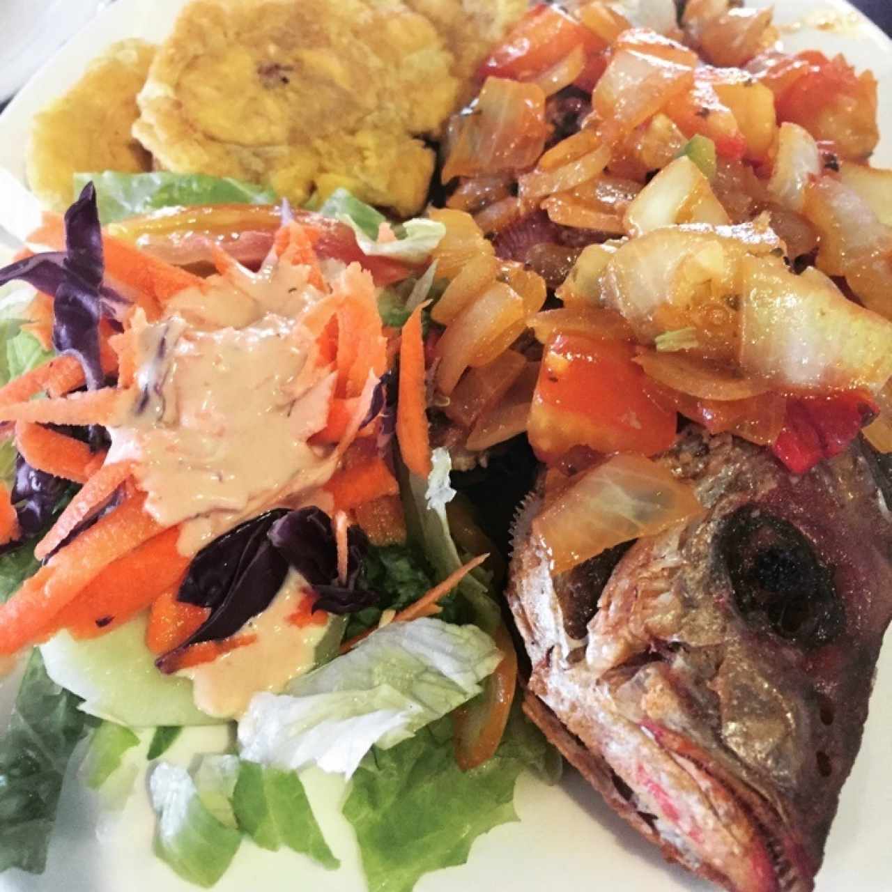 Pargo en salsa criolla con patacones