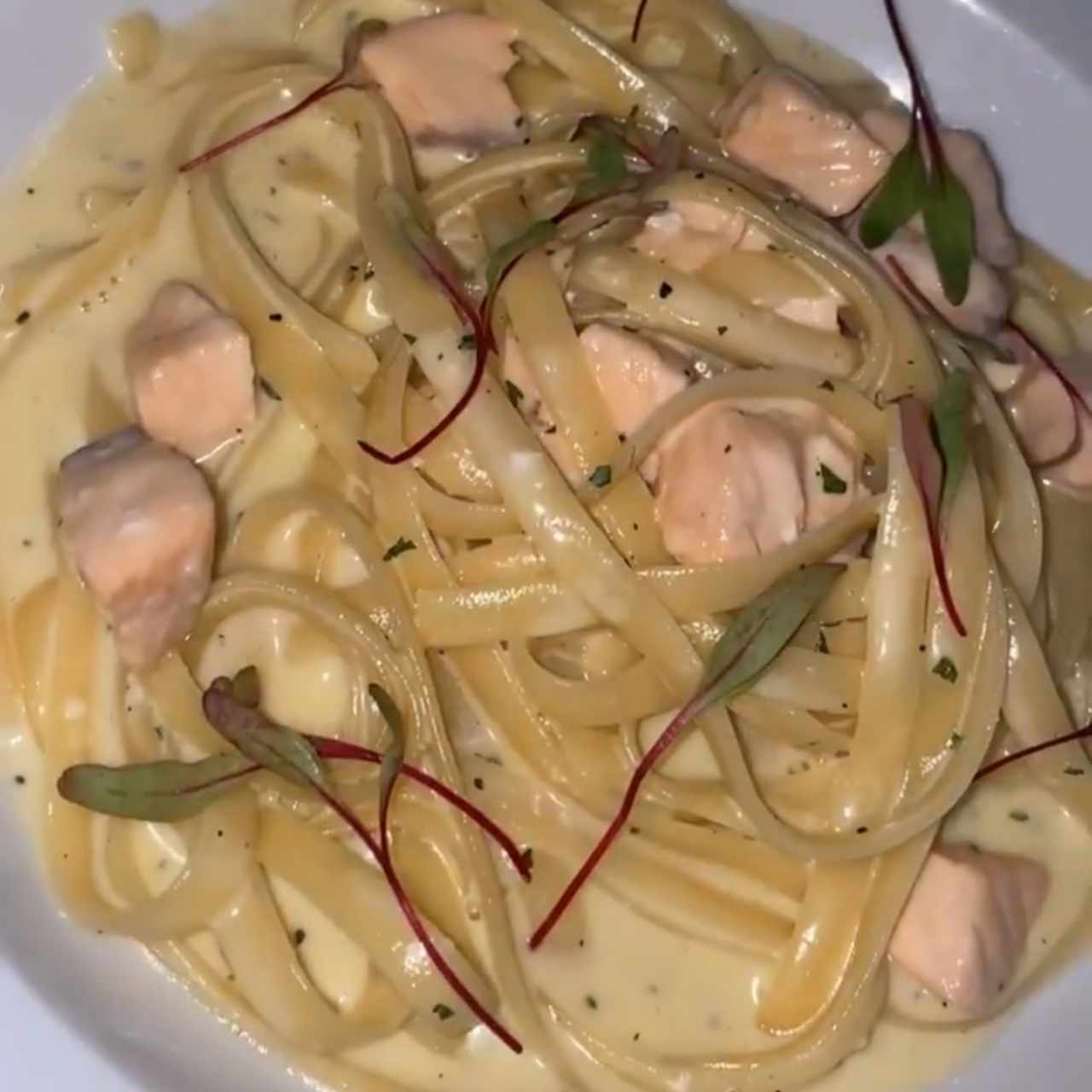 Pates au Saumon, Sauce Blanche