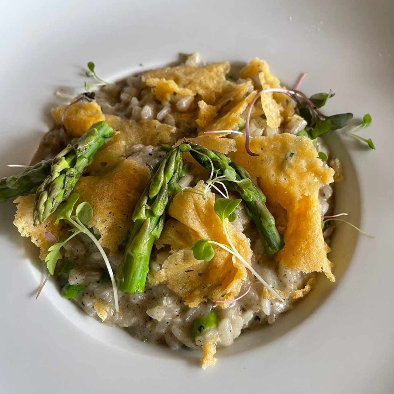 Risotto d'Asperges Truffé