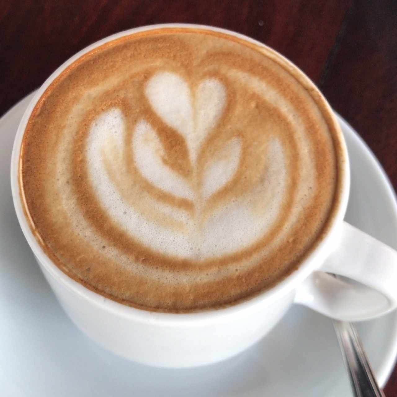 capuchino