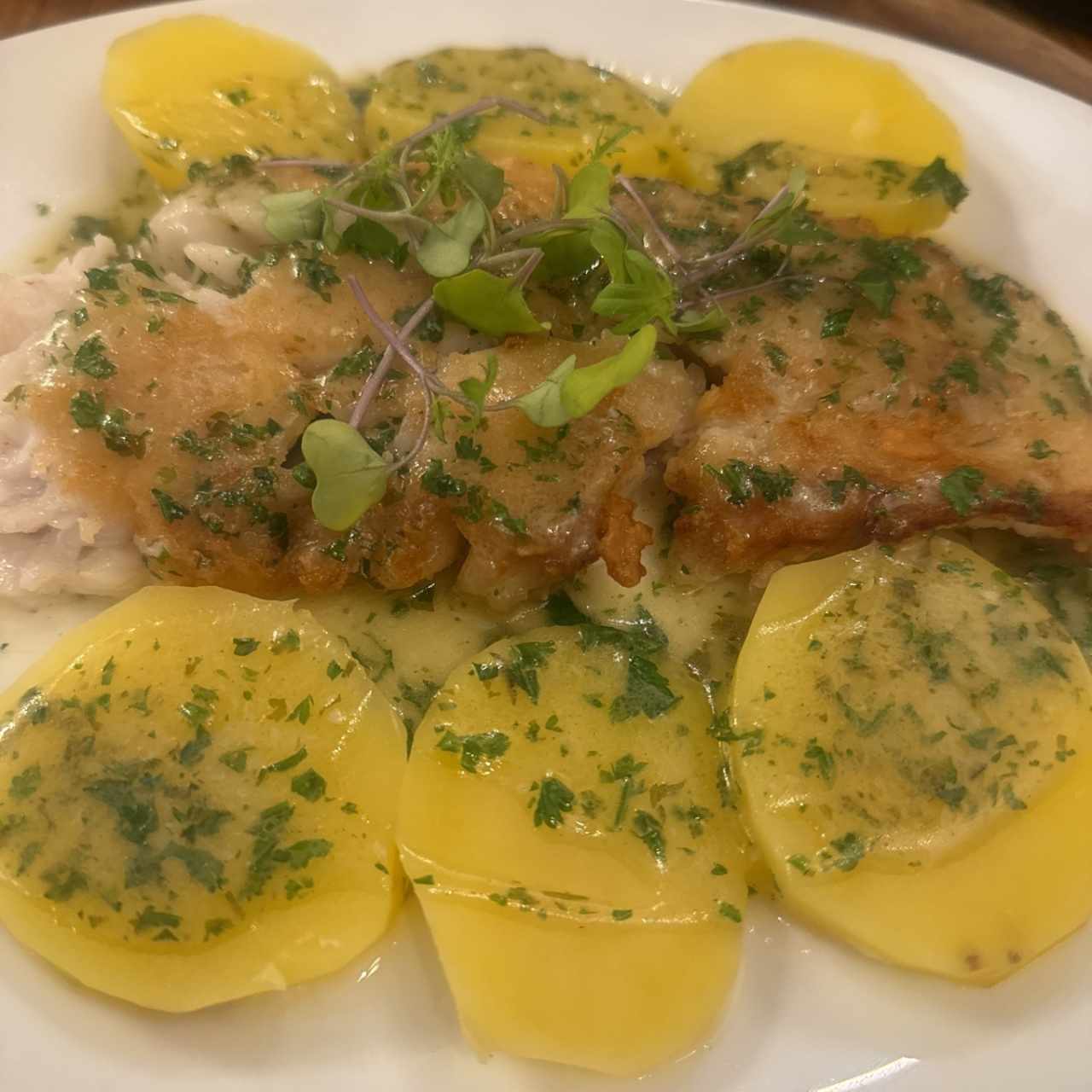 Corvina en réduction de Champignon Truffée