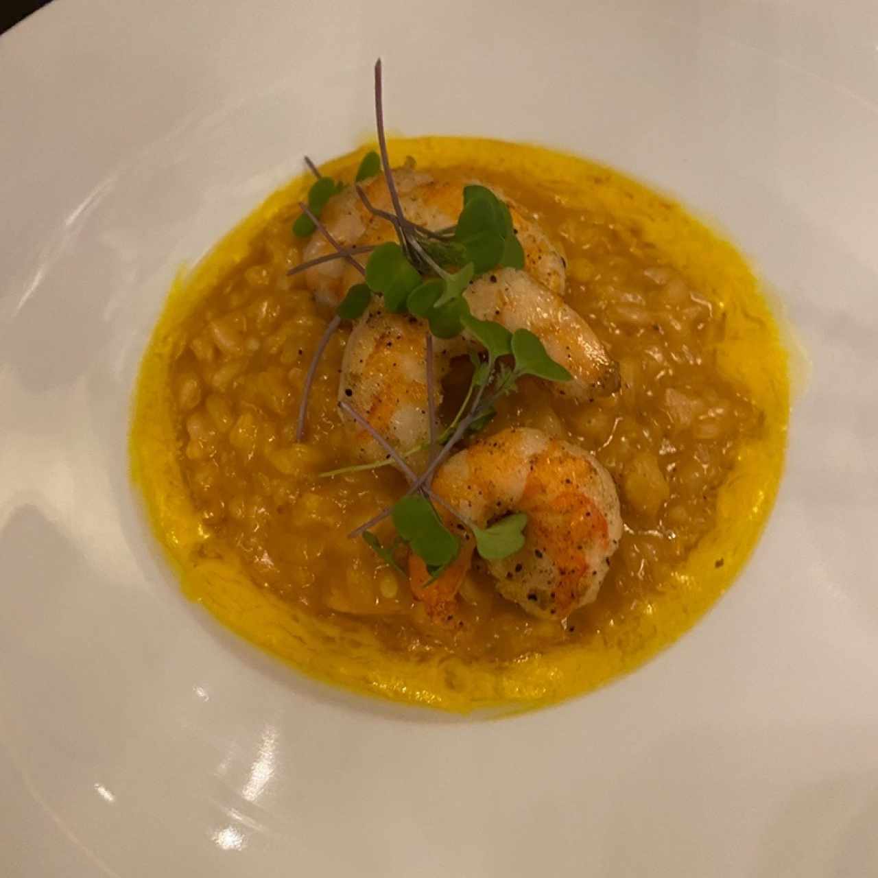 Risotto de Crevettes et petites Saint-Jacques au Safran