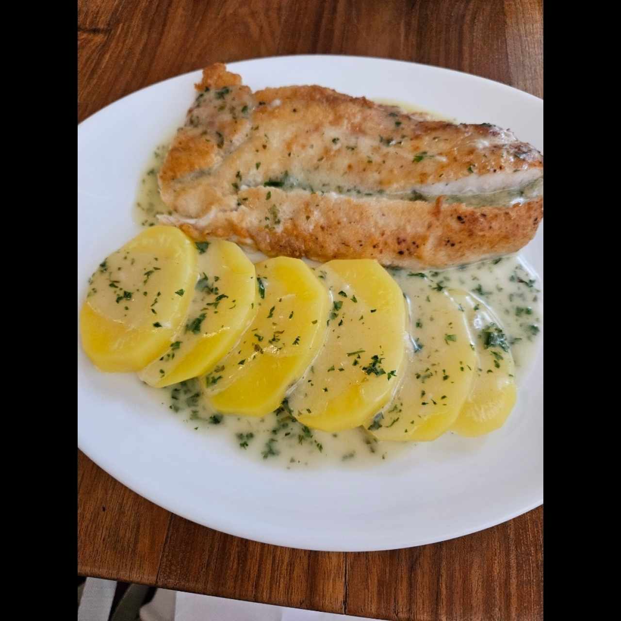 Corvina