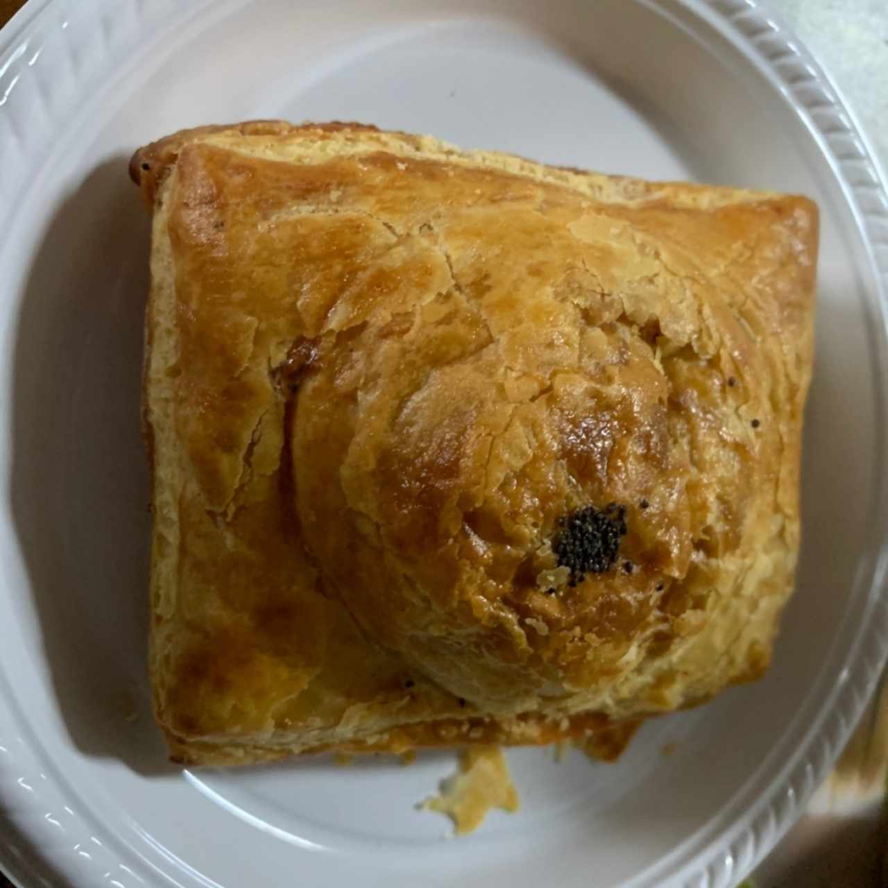 Pastelito de Carne