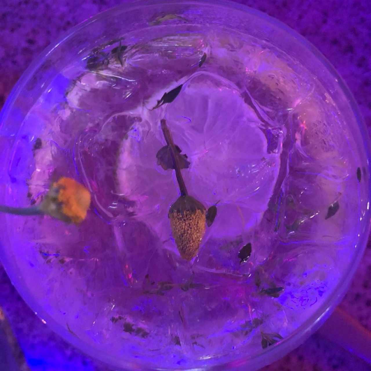 electricate con flor electrica . amazing drink