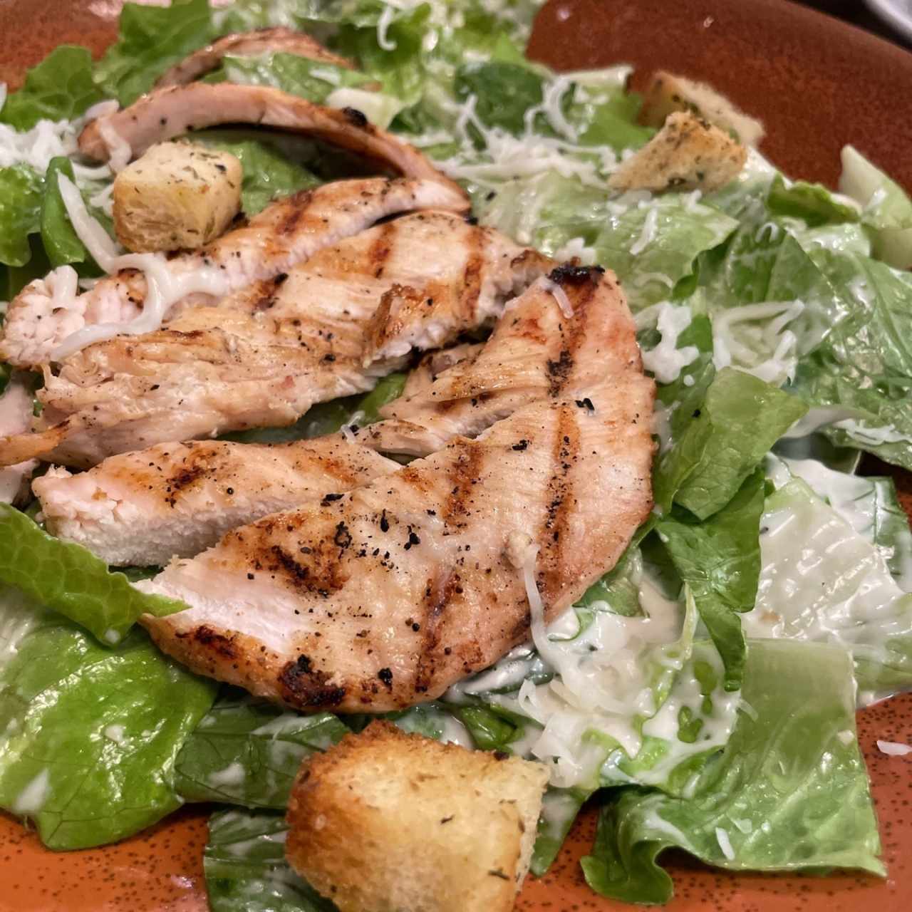 Salads - Chicken Cesar Salad