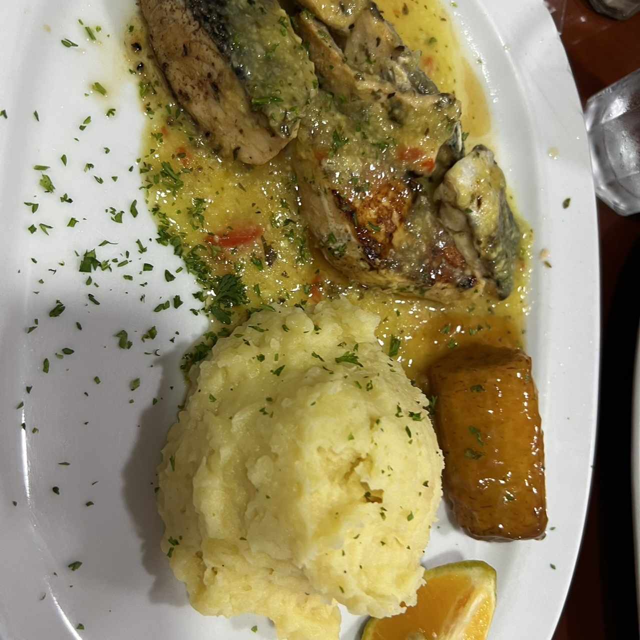 salmon