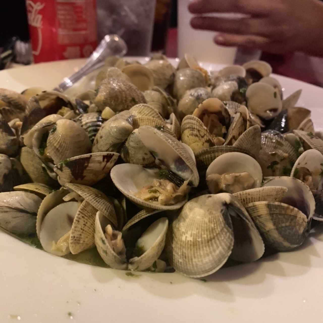 Almejas al ajillo