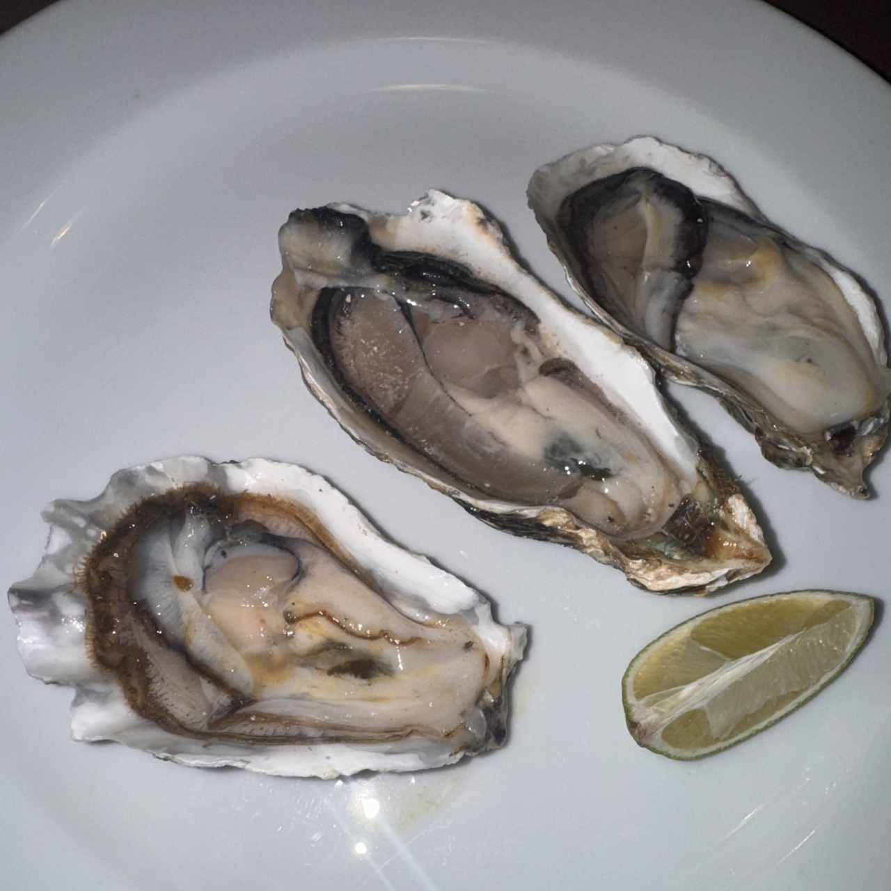 Ostras 