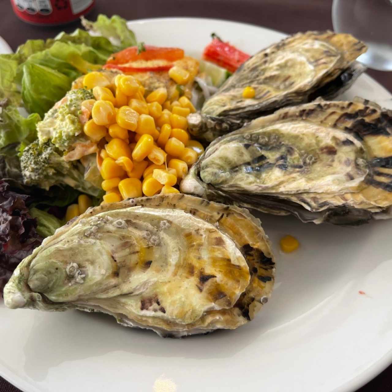 Menú - Salad Bar