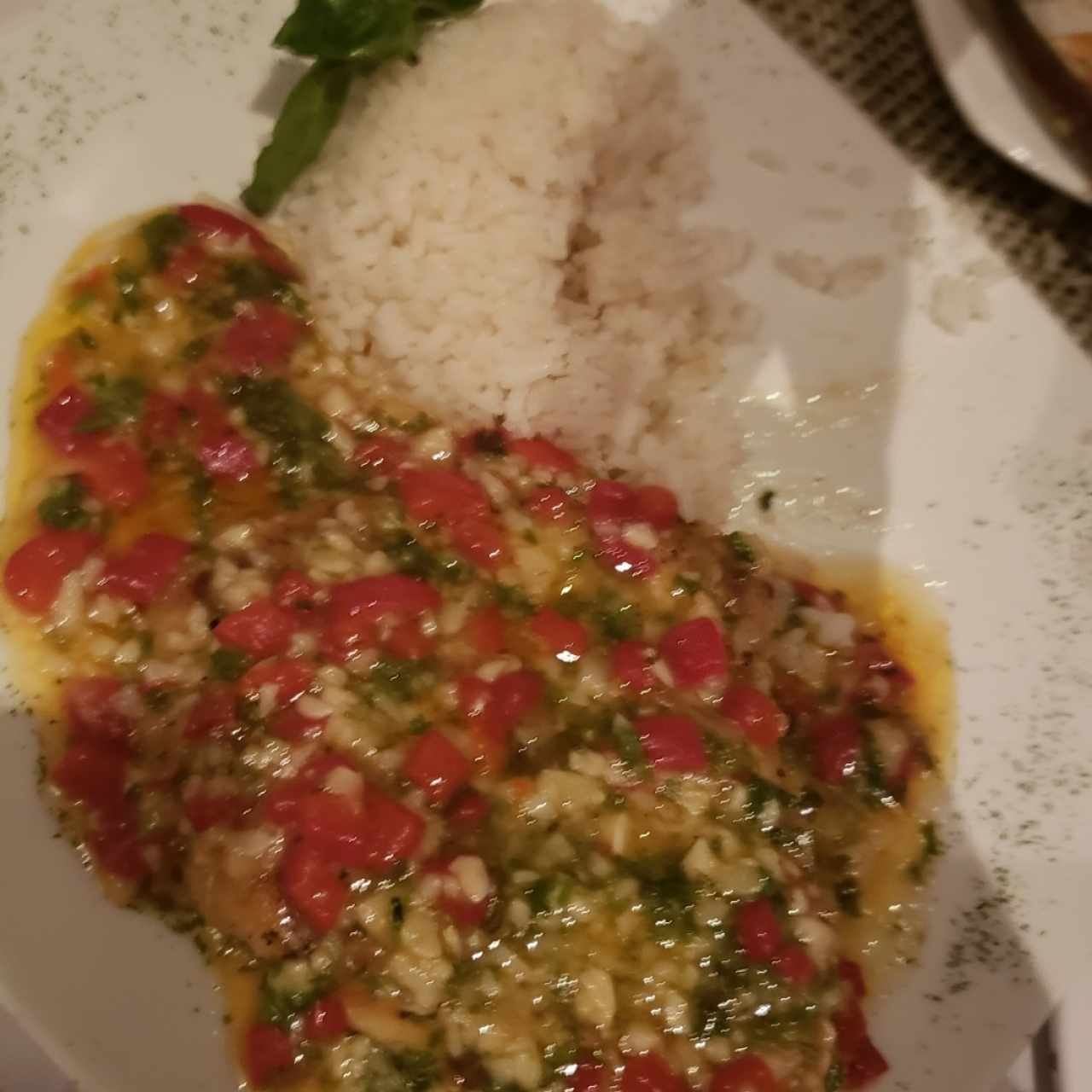 corvina de aljillo