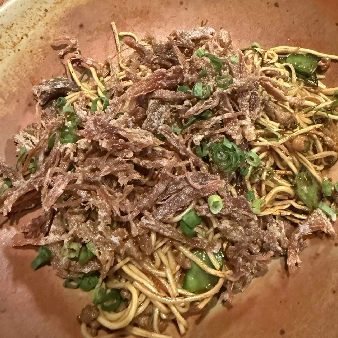 Chow Mein de Pato 