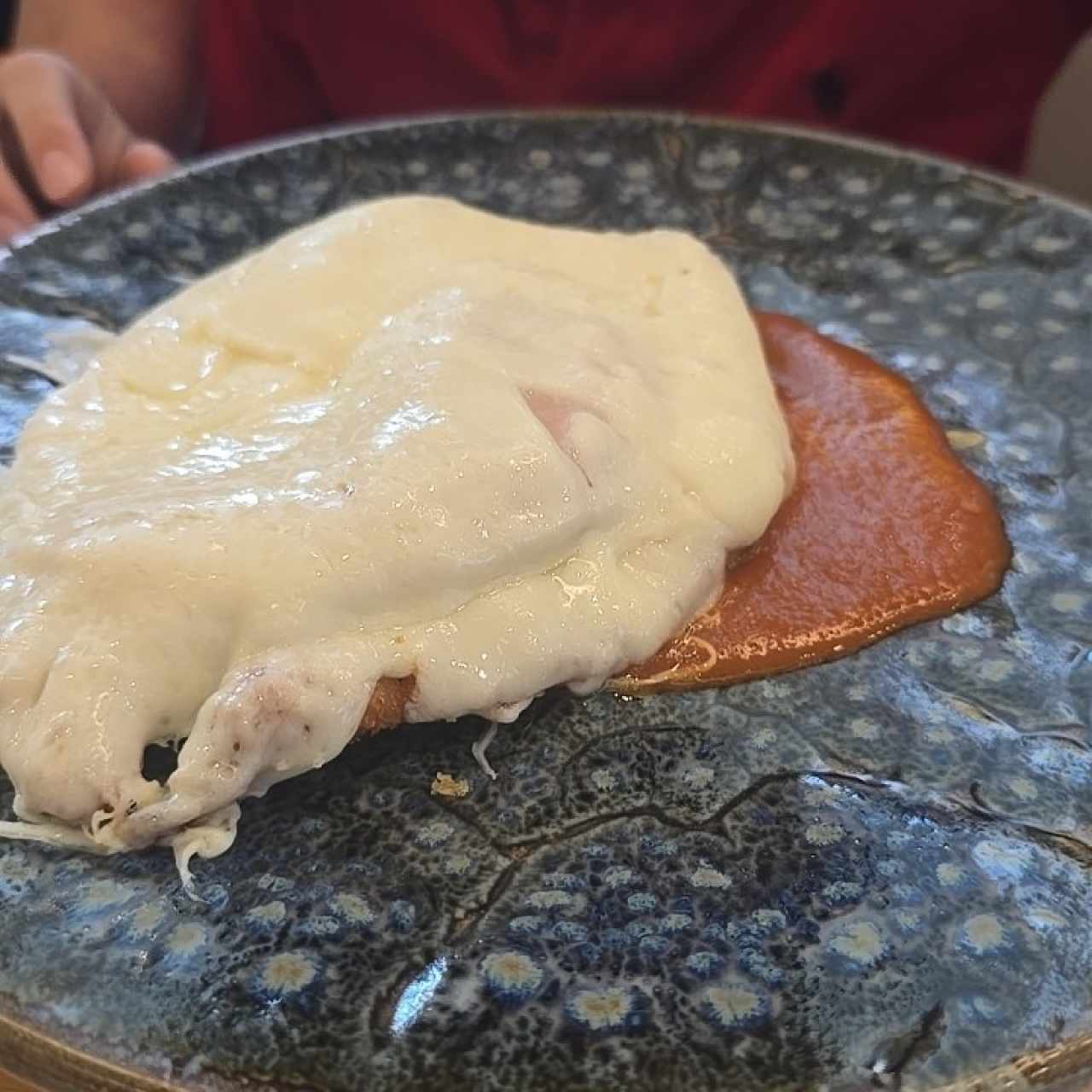 Pollo - Milanesa Saquella