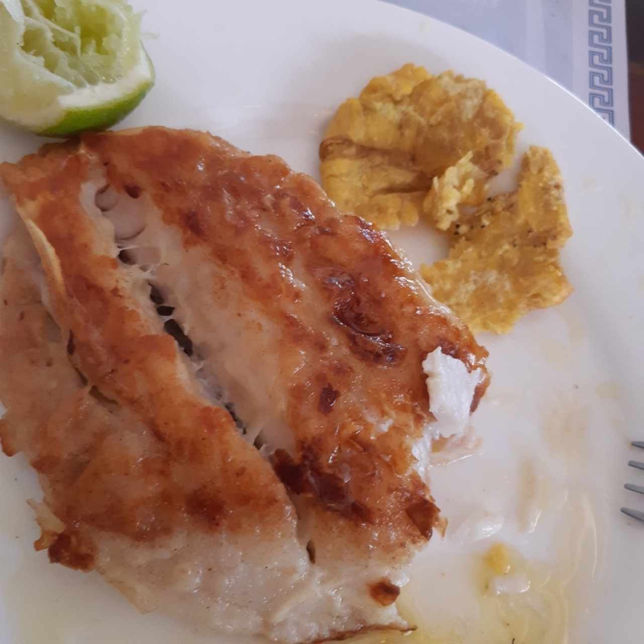 corvina