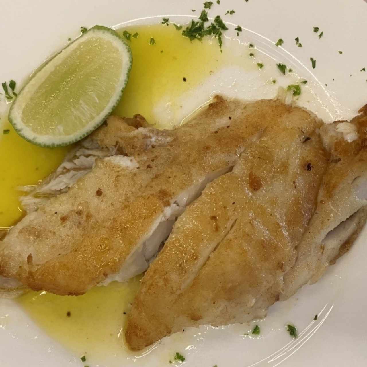 Mariscos - Corvina Jimmy