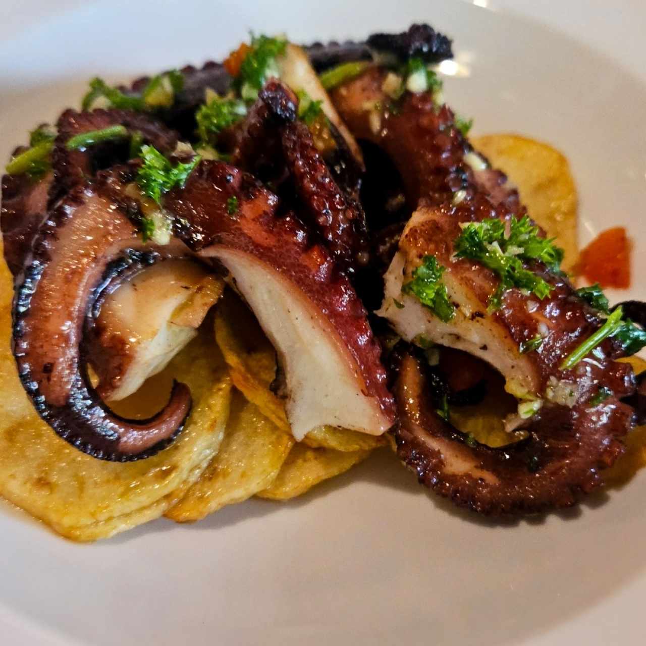 Pulpo a la Parrilla Sobre Medallones de Papa y Chimichurri