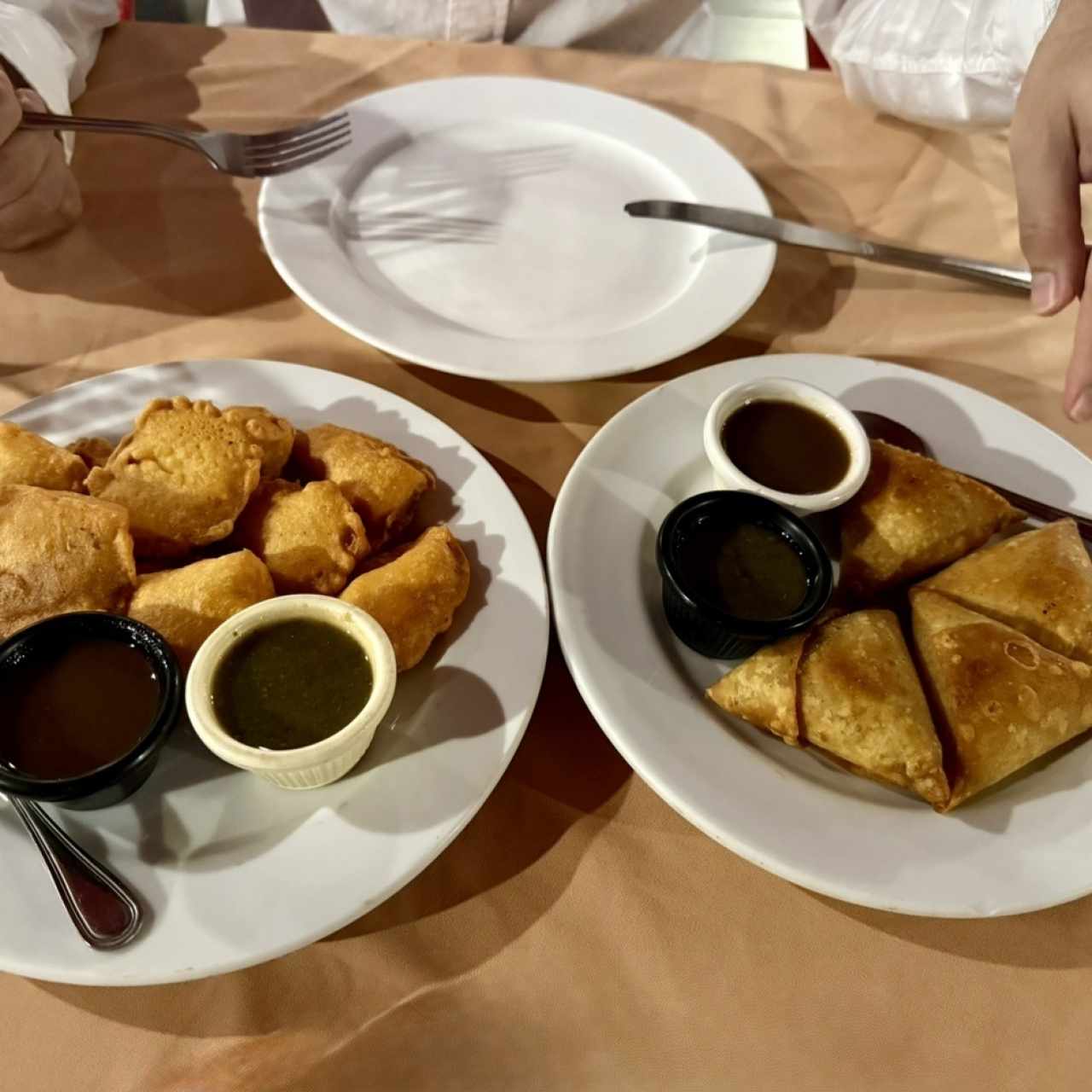 Plato 1 : Paneer Pakora , Plato 2: Samosas de Pollo