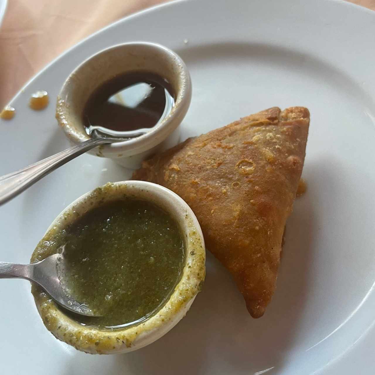 Meat Appetizers - Samosas de Pollo