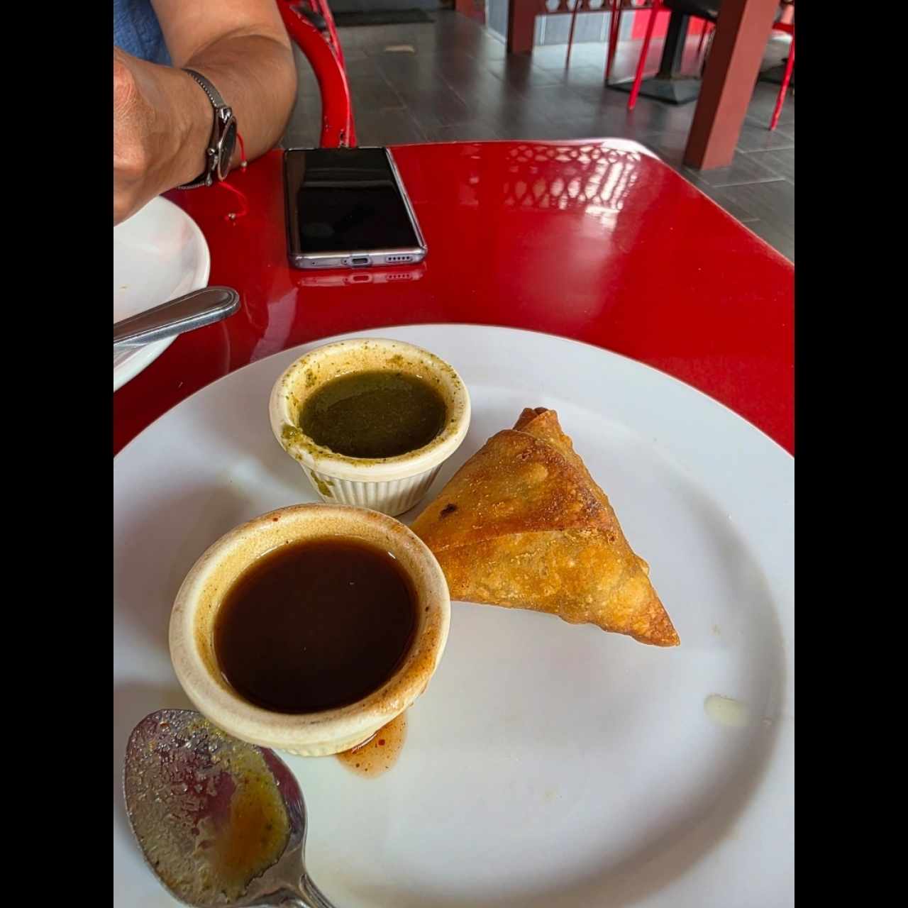 Meat Appetizers - Samosas de Pollo