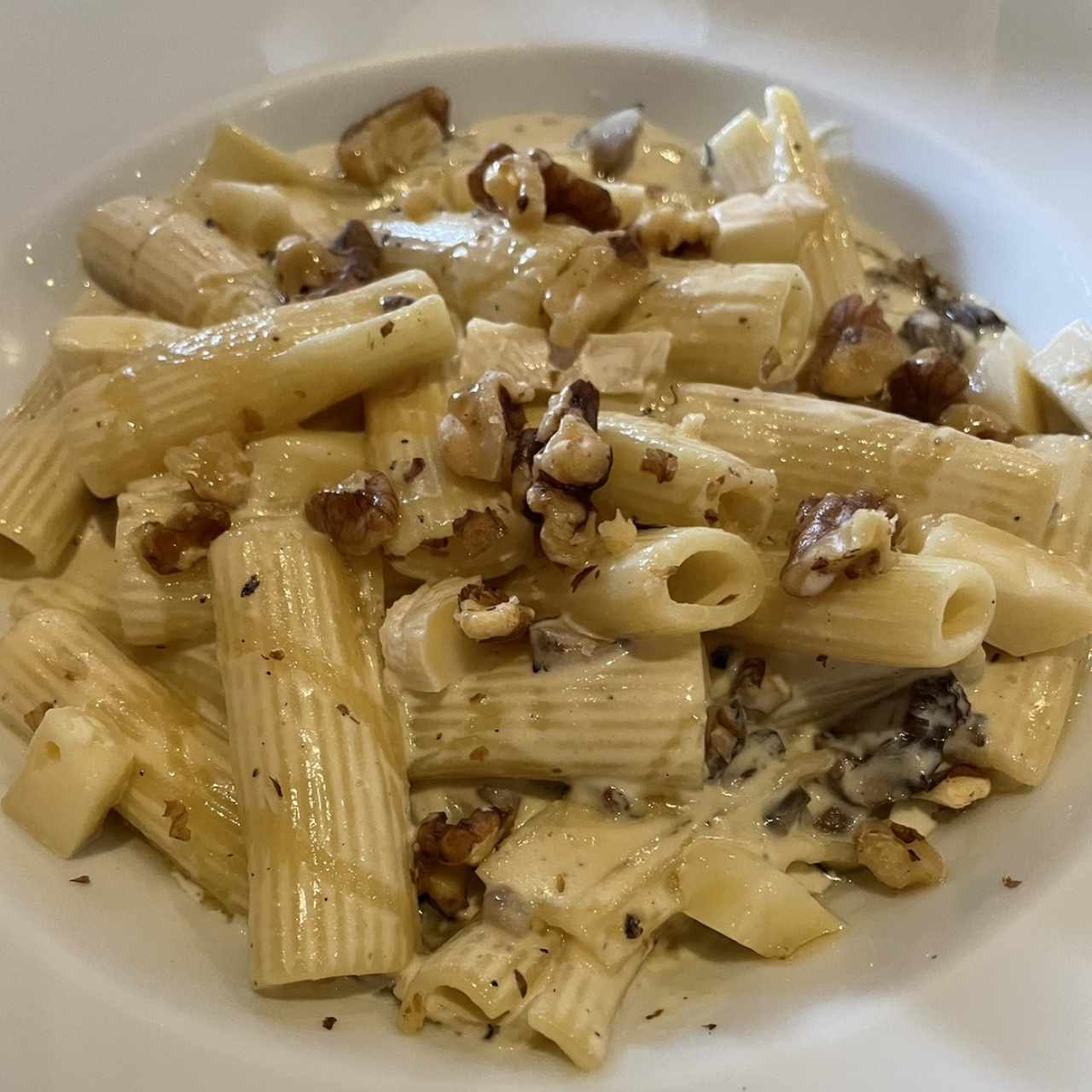 Pastas - Rigatoni