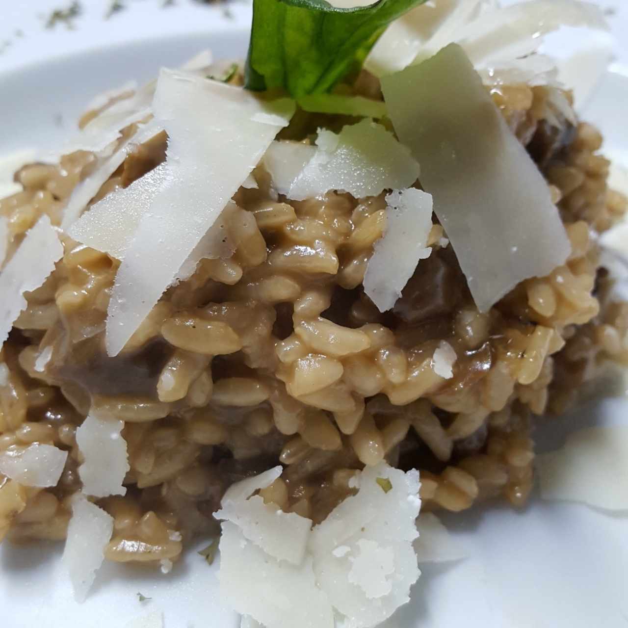 Risottos - Risotto delicato