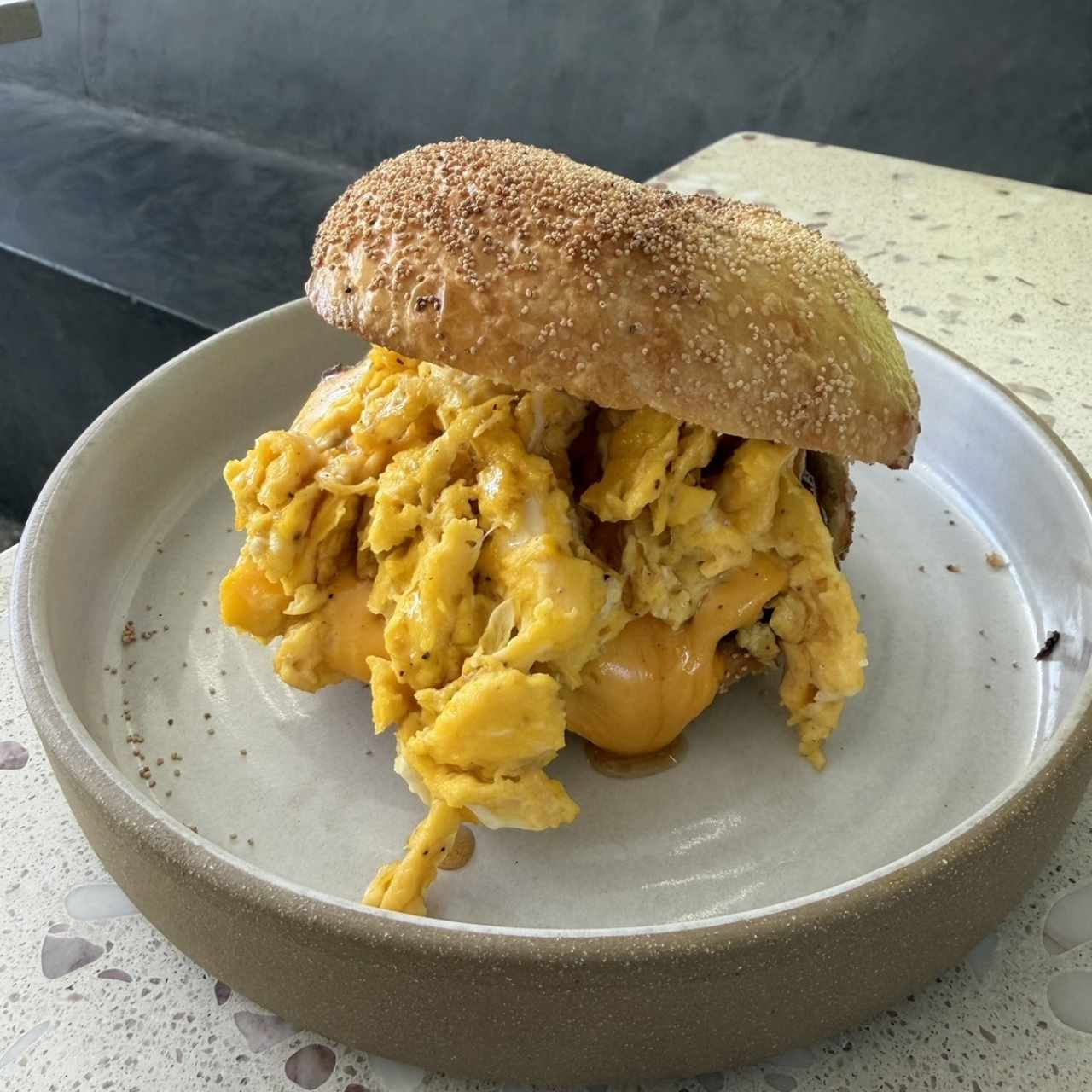 White Poppy Bagel Sandwich