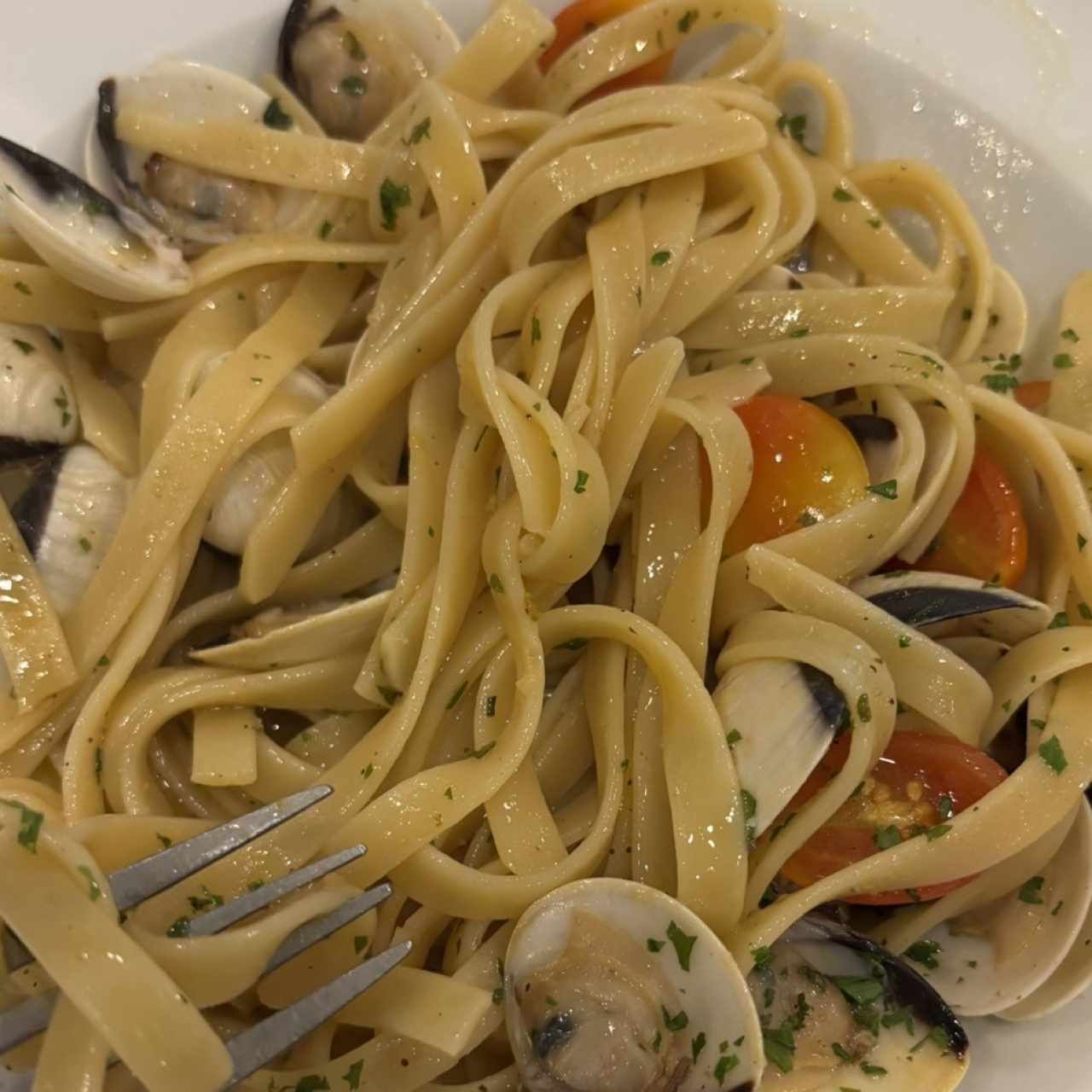 Pasta alle bongole