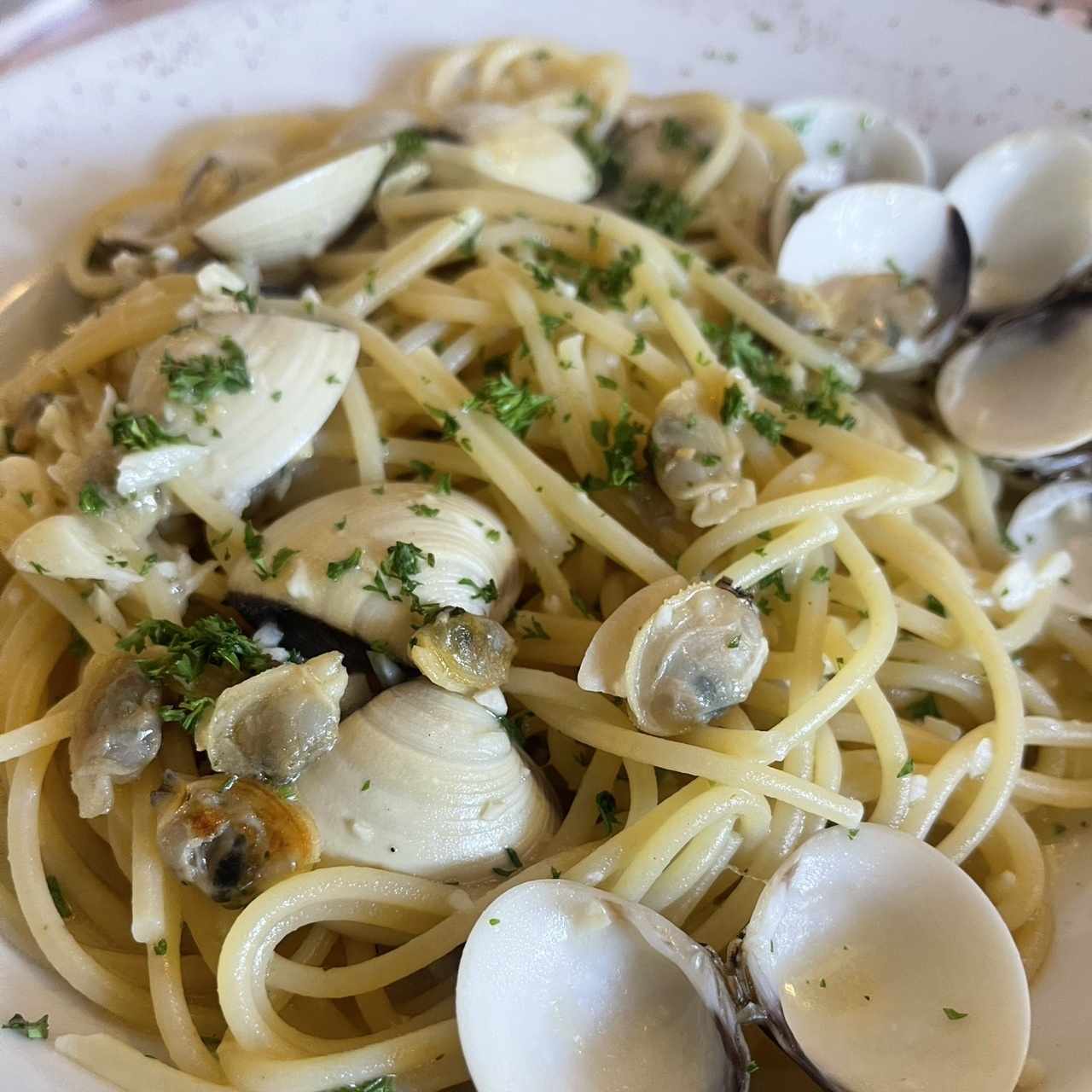 Pastas - Pasta vongole