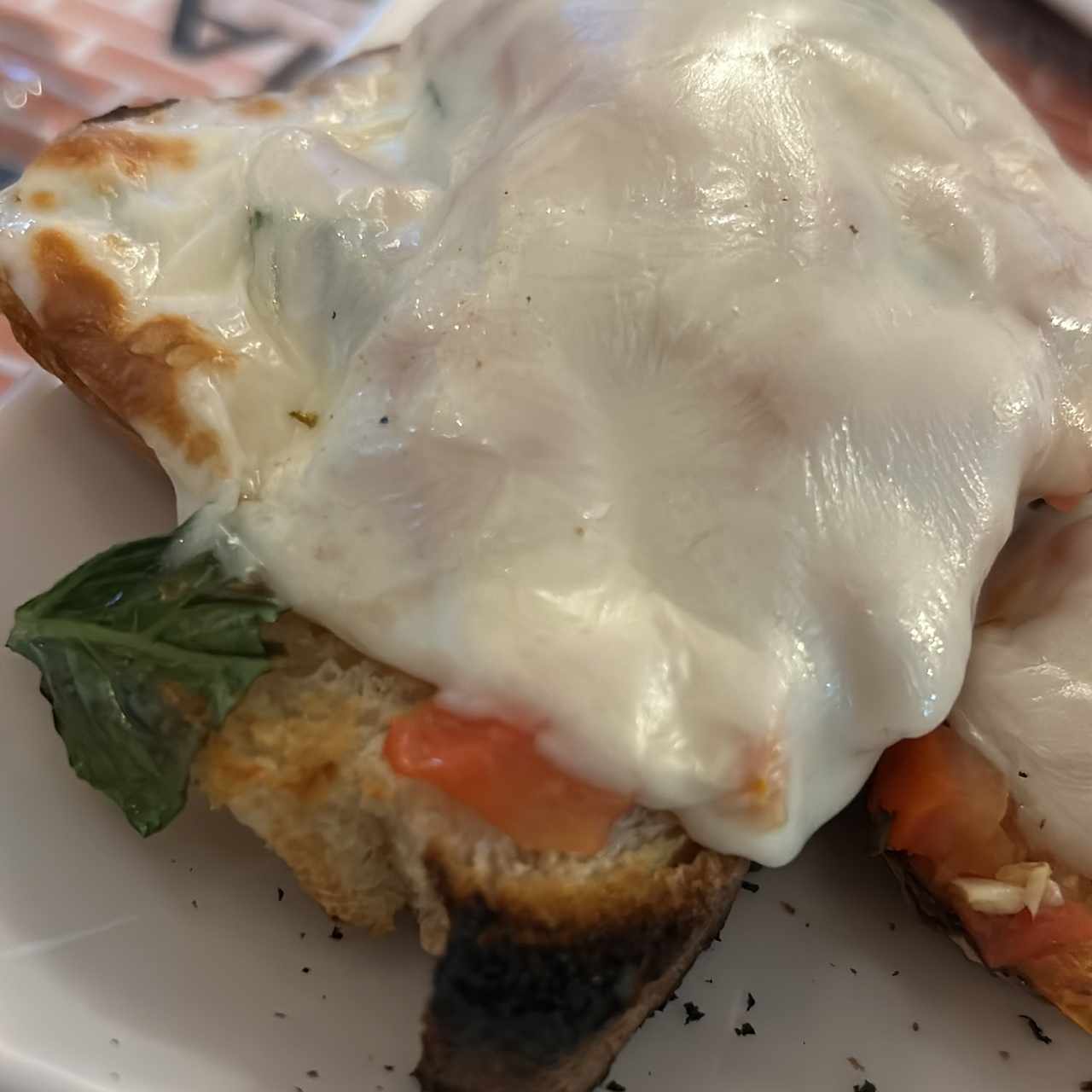 Bruschetta Romana con Mozzarella