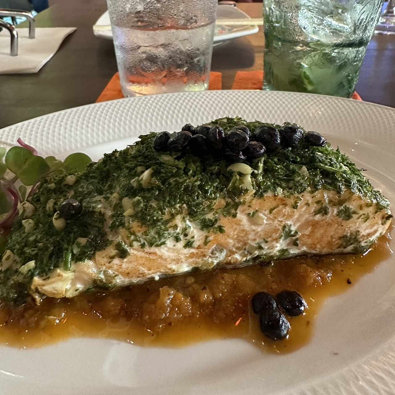 Salmon
