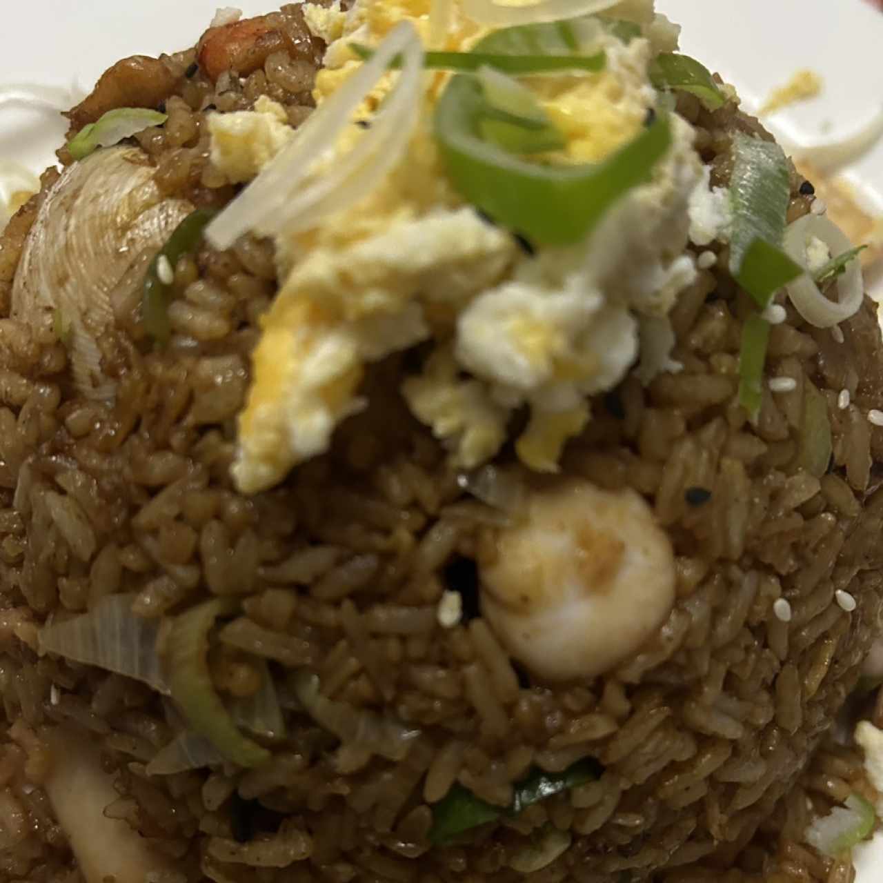 Arroces - Chaufa de Marisco