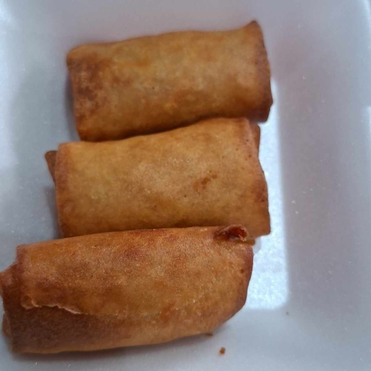 Dim Sum - Rollitos