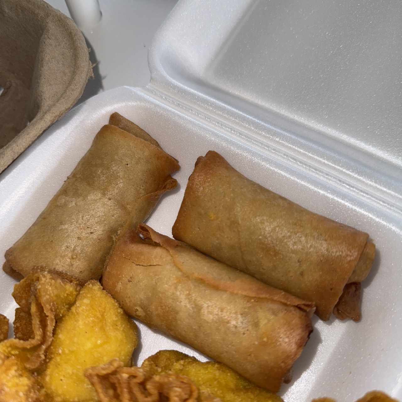 Dim Sum - Rollitos