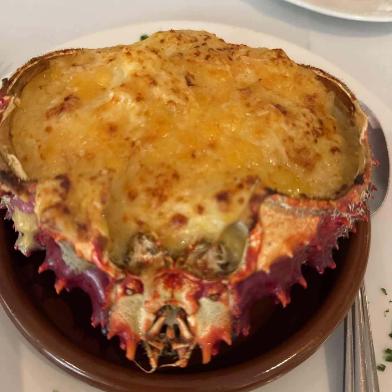 Platos Fuertes - Centollo o Cangrejo