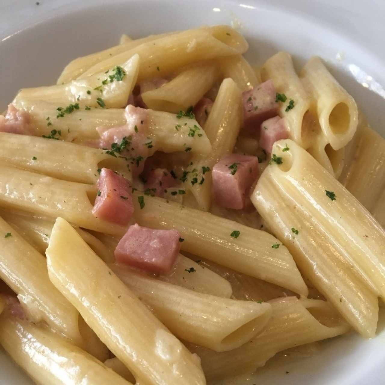 Penne con Salsa Alfredo